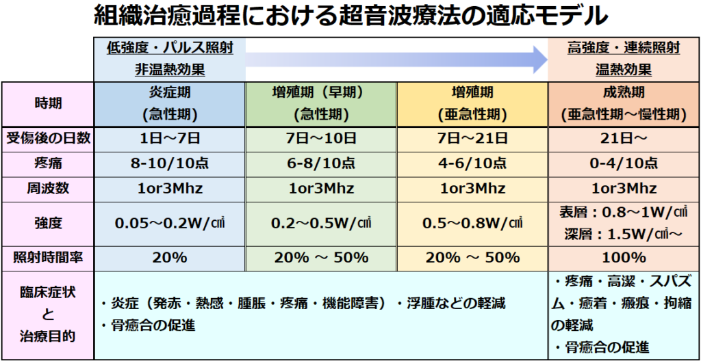 超音波療法の適応モデル