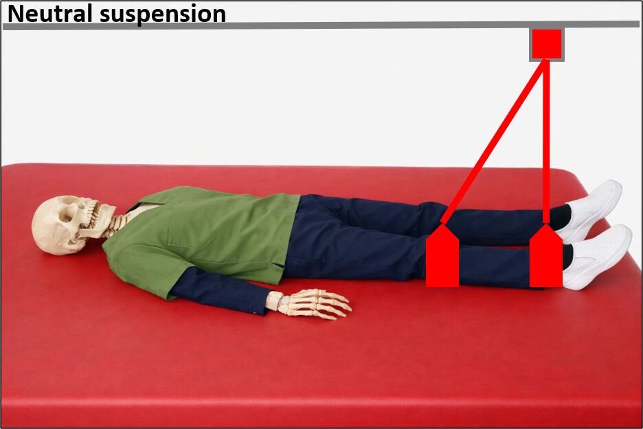 Neutral suspensionの図解
